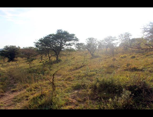367HA FARM FOR SALE IN KOMGA